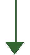 Down Arrow