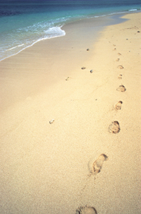 A picture of footprints in the sand
