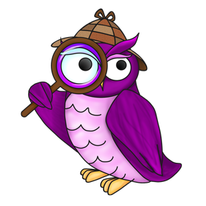 judge owl